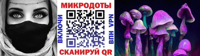 Псилоцибиновые грибы Cubensis  Заволжск 
